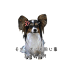 夜叉丸くん（個別スタンプ：9）