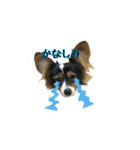 夜叉丸くん（個別スタンプ：11）