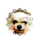 レンの心の叫び〜♡（個別スタンプ：6）