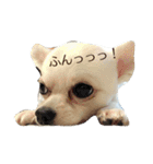 レンの心の叫び〜♡（個別スタンプ：9）
