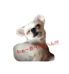 レンの心の叫び〜♡（個別スタンプ：10）