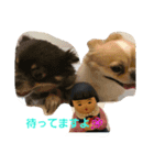 花子です（個別スタンプ：6）