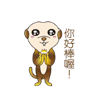 The Story Of Meerkat Life（個別スタンプ：8）