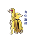 The Story Of Meerkat Life（個別スタンプ：22）