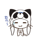ぱんだーきゃっと（個別スタンプ：13）