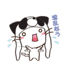 ぱんだーきゃっと（個別スタンプ：29）