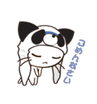 ぱんだーきゃっと（個別スタンプ：38）
