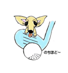 wankosobagolufu（個別スタンプ：2）