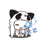 ぱんだーきゃっと (英語版)（個別スタンプ：27）