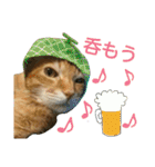 けだまにゃん（個別スタンプ：9）