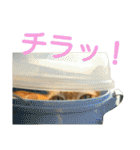 けだまにゃん（個別スタンプ：24）
