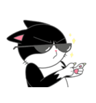 Suzy the Tuxedo Cat（個別スタンプ：5）