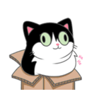 Suzy the Tuxedo Cat（個別スタンプ：10）