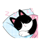 Suzy the Tuxedo Cat（個別スタンプ：12）