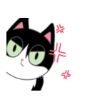 Suzy the Tuxedo Cat（個別スタンプ：13）