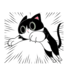 Suzy the Tuxedo Cat（個別スタンプ：23）