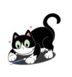 Suzy the Tuxedo Cat（個別スタンプ：24）