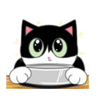 Suzy the Tuxedo Cat（個別スタンプ：33）