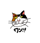 ハネチキンズの仲間たち（個別スタンプ：21）