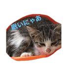 うちの可愛い子供たち（個別スタンプ：5）