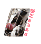 うちの可愛い子供たち（個別スタンプ：9）