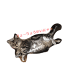 うちの可愛い子供たち（個別スタンプ：11）