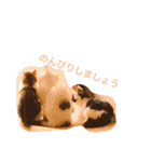 うちの可愛い子供たち（個別スタンプ：17）