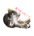 うちの可愛い子供たち（個別スタンプ：24）