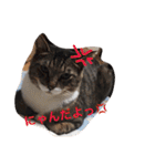 うちの可愛い子供たち（個別スタンプ：30）