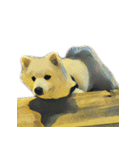 犬！！！マルチーズ トイプードル 柴犬（個別スタンプ：20）