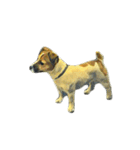 犬！！！マルチーズ トイプードル 柴犬（個別スタンプ：23）