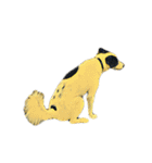 犬！！！マルチーズ トイプードル 柴犬（個別スタンプ：28）