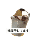 ガサ男の幸太朗（個別スタンプ：16）