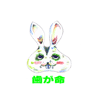 ウサギの気持ち（個別スタンプ：40）