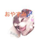 もえちゃん（個別スタンプ：1）
