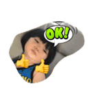 しきたんたん（個別スタンプ：1）