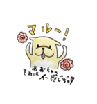 あおちゃんへ送るスタンプ（個別スタンプ：9）