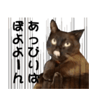 黒猫さんと白猫さん 2（個別スタンプ：24）