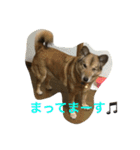 めいちゃんの平和な日々 2。（個別スタンプ：9）