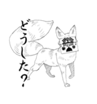 顔を隠す狐（個別スタンプ：3）