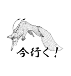 顔を隠す狐（個別スタンプ：21）