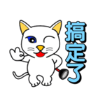 Blue-eyed white cat（個別スタンプ：5）