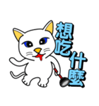 Blue-eyed white cat（個別スタンプ：8）