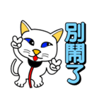 Blue-eyed white cat（個別スタンプ：10）