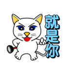 Blue-eyed white cat（個別スタンプ：13）