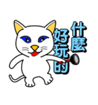 Blue-eyed white cat（個別スタンプ：20）