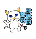 Blue-eyed white cat（個別スタンプ：23）