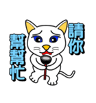 Blue-eyed white cat（個別スタンプ：32）