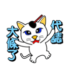 Blue-eyed white cat（個別スタンプ：36）