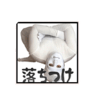 リアル白タイツくん(日常)（個別スタンプ：24）